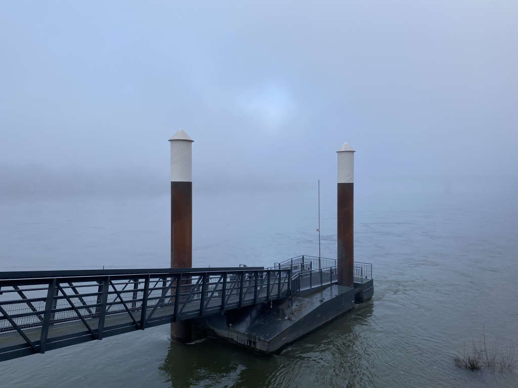 2024-03-06 Rhein 0059 k.JPG